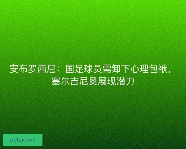 安布罗西尼：国足球员需卸下心理包袱，塞尔吉尼奥展现潜力